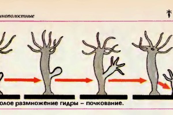 Сайт кракен закрыли