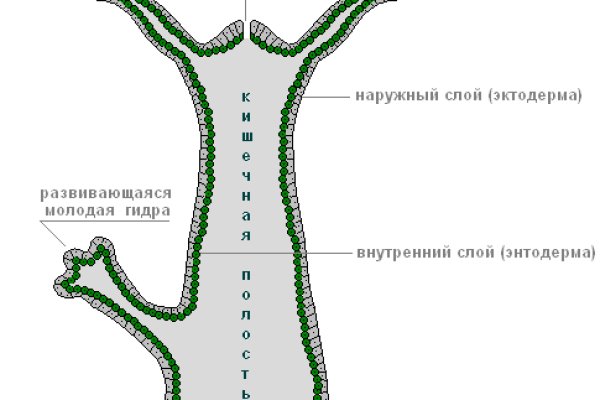 Кракен зеркало сайта vtor run